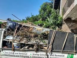 Best Carpet Removal and Disposal  in Arlington, NE