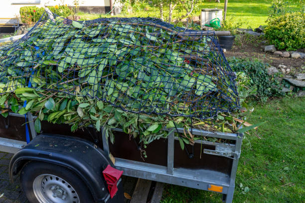 Best Shed Removal  in Arlington, NE